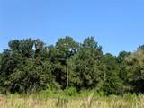 000 County Road 137 - Photo 24