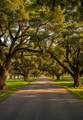 5110 Cherry Ridge Road - Photo 42