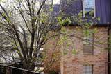 2475 Underwood Street - Photo 1