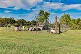5061 County Road 353 - Photo 32
