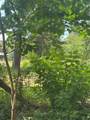 164 Moon Mist Drive - Photo 3