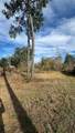 7119 Jessica Leann Drive - Photo 5