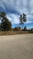 7119 Jessica Leann Drive - Photo 9