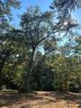 TBD Tiki Trail - Photo 3