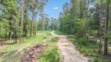 32300 Cypress Hollow Drive - Photo 4