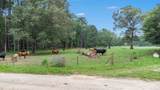32300 Cypress Hollow Drive - Photo 8