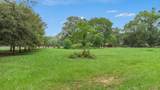 32300 Cypress Hollow Drive - Photo 9