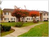 205 Mountain View Road - Photo 4