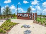 17211 White Peace Drive - Photo 20