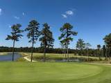 8278 Boundary Waters Drive - Photo 31