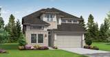 2306 Honeyberry Shrub Drive - Photo 1