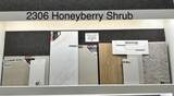 2306 Honeyberry Shrub Drive - Photo 4