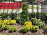 5140 Mallow Street - Photo 19