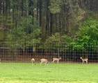8686 Fm-2004 - Photo 46