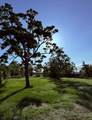 8686 Fm-2004 - Photo 48