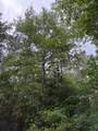 139785 Winters Vista Drive - Photo 19
