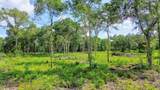 708 W Smith Street - Photo 7