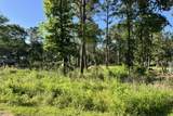 8020 Tawnyberry Lane - Photo 3
