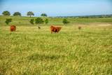 5005 Fuchs Rd - Photo 1
