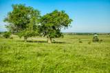 5005 Fuchs Rd - Photo 6