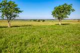 5005 Fuchs Rd - Photo 7