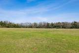 6804 County Road 126 - Photo 10