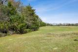 6804 County Road 126 - Photo 12