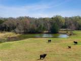 6804 County Road 126 - Photo 19