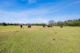 6804 County Road 126 - Photo 3