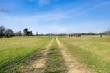 6804 County Road 126 - Photo 5