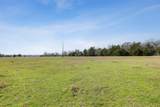 6804 County Road 126 - Photo 7