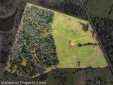 6804 County Road 126 - Photo 8