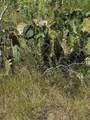 TR 11 Private Road - Photo 8