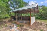 18768 Dalton Willis Dr Drive - Photo 29