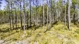 025 Magnolia Ranch Rd Road - Photo 15