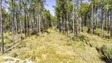 025 Magnolia Ranch Rd Road - Photo 16