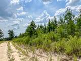 2 County Road 235 - Photo 2