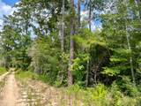 2 County Road 235 - Photo 5