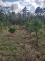 111 Moonshine Hill/Will Clayton Parkway Road - Photo 10