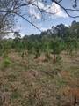 111 Moonshine Hill/Will Clayton Parkway Road - Photo 11