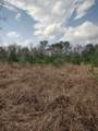 111 Moonshine Hill/Will Clayton Parkway Road - Photo 12
