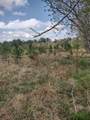 111 Moonshine Hill/Will Clayton Parkway Road - Photo 13