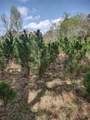 111 Moonshine Hill/Will Clayton Parkway Road - Photo 14