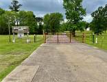 151 Moonlite Drive - Photo 13