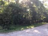 000 Brook Tree - Photo 2