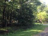 000 Brook Tree - Photo 3