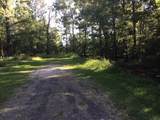 000 Brook Tree - Photo 4