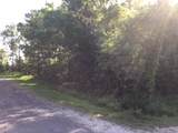 000 Brook Tree - Photo 5