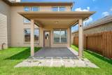 29006 Dryander Forest Court - Photo 24
