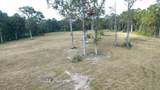 12075 Coon Hollow Road - Photo 8